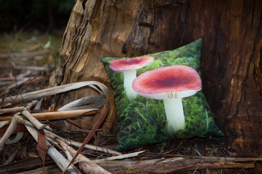 Van Diemen Designs mushroom cushion photographed in the Tasmanian bush